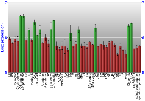 Multi-state expression graph