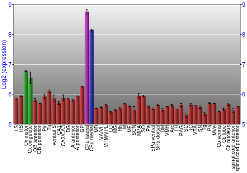 Multi-state expression graph