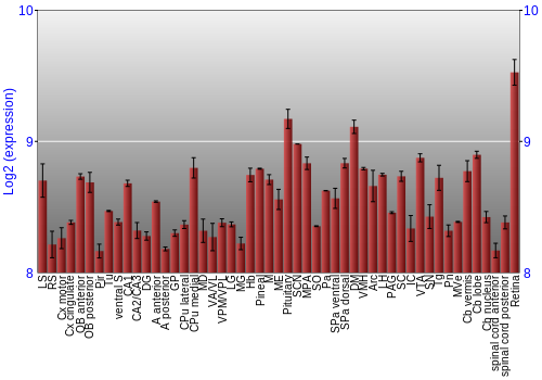 Expression graph