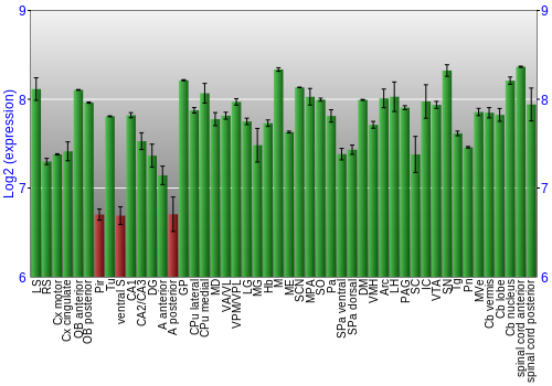 Multi-state expression graph