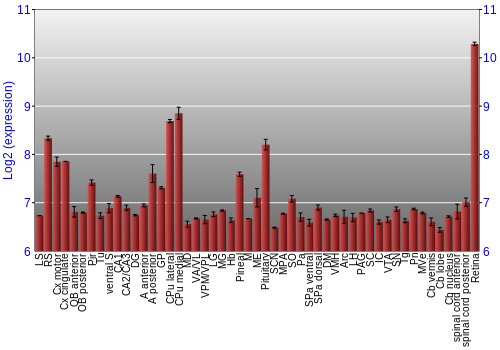 Expression graph