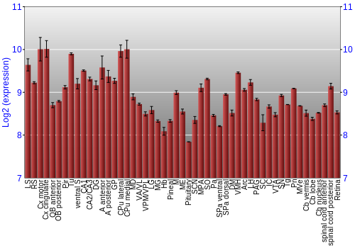 Expression graph