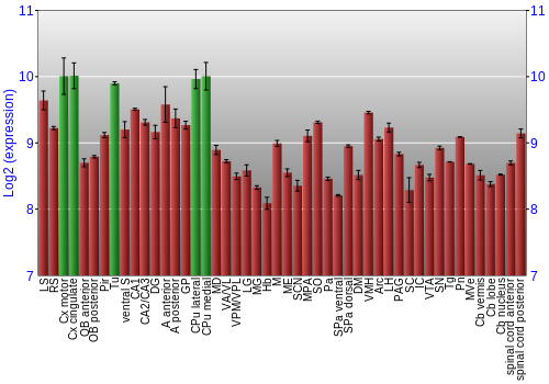 Multi-state expression graph
