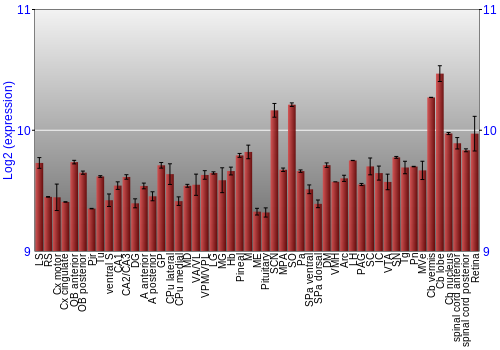 Expression graph