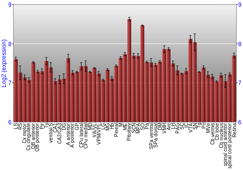 Expression graph