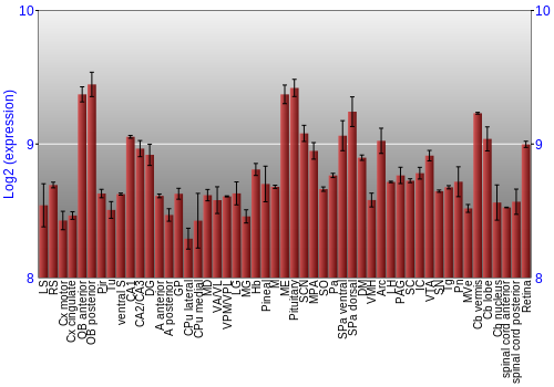 Expression graph