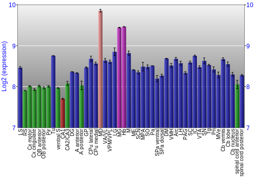 Multi-state expression graph
