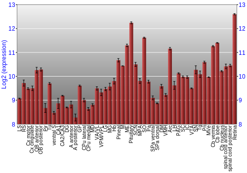 Expression graph
