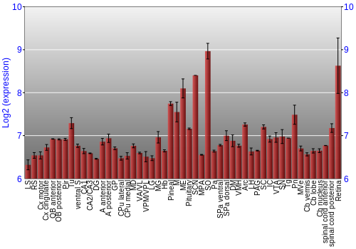 Expression graph