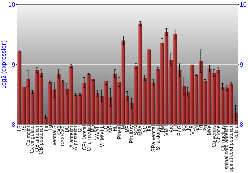 Expression graph