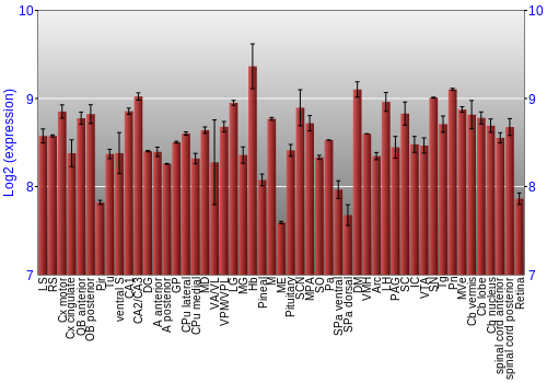 Expression graph