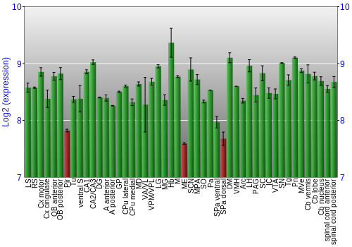 Multi-state expression graph