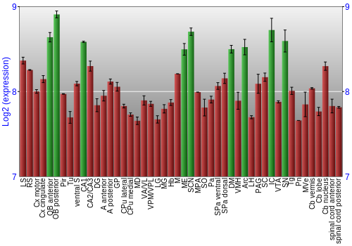 Multi-state expression graph