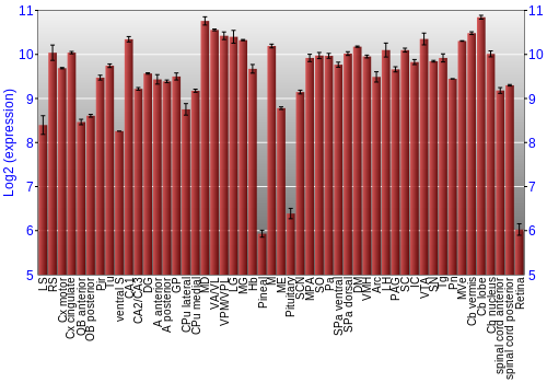 Expression graph