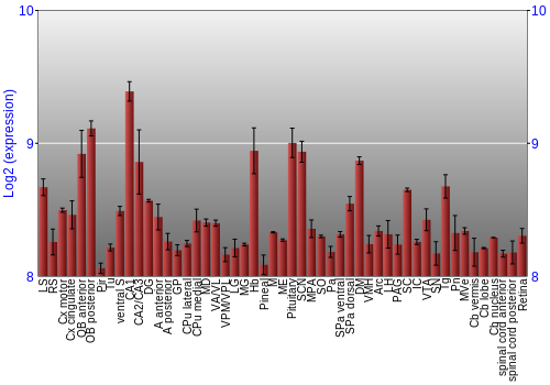 Expression graph