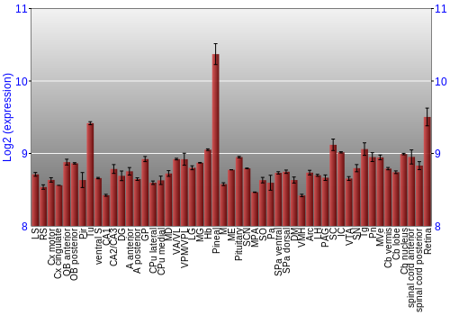 Expression graph