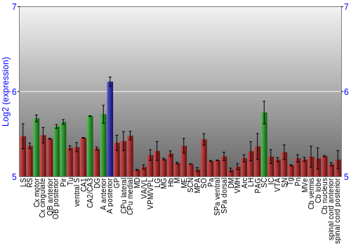 Multi-state expression graph