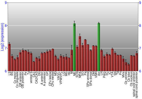 Multi-state expression graph