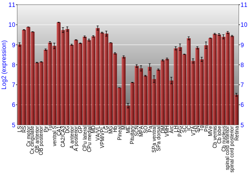 Expression graph