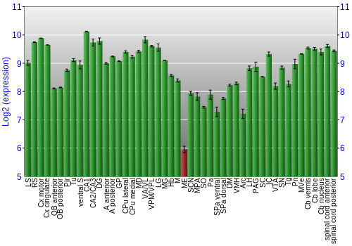 Multi-state expression graph