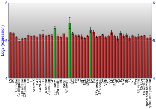 Multi-state expression graph