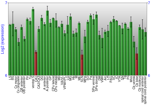 Multi-state expression graph