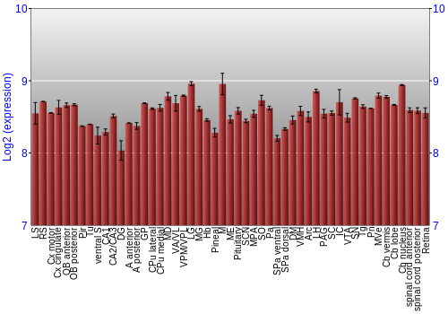 Expression graph