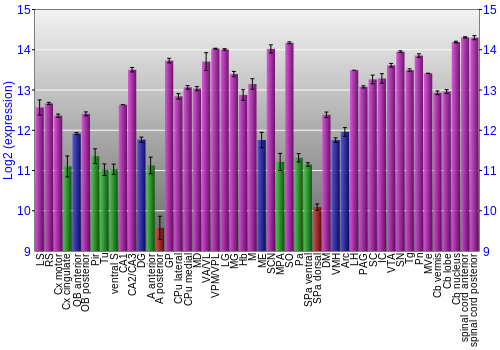 Multi-state expression graph