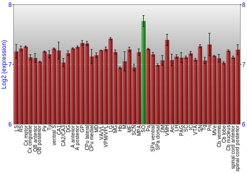 Multi-state expression graph
