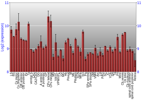 Expression graph