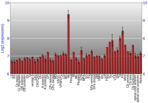 Expression graph