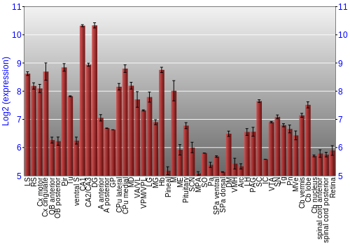 Expression graph