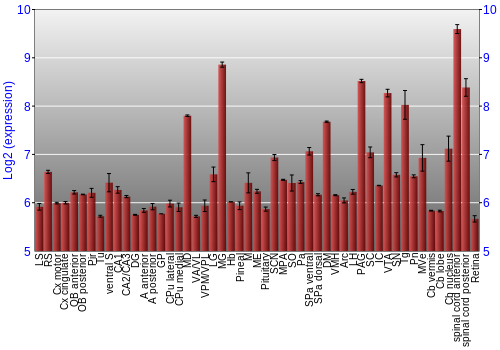 Expression graph