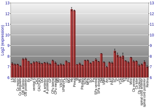 Expression graph