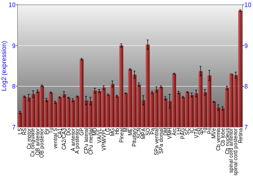 Expression graph