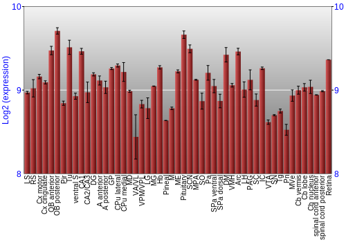 Expression graph