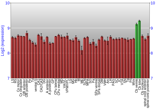 Multi-state expression graph