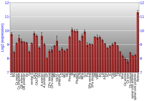 Expression graph