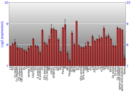 Expression graph