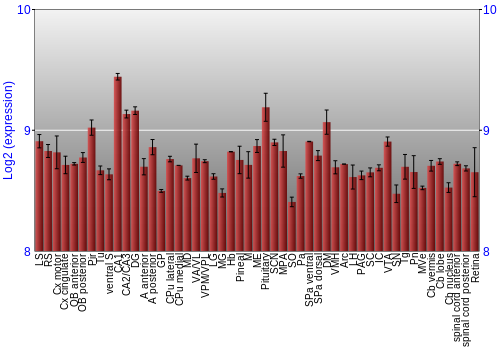 Expression graph