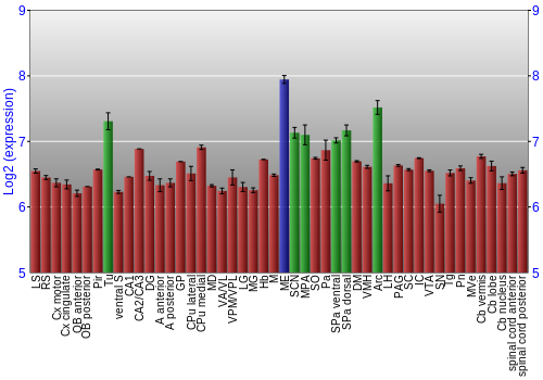 Multi-state expression graph