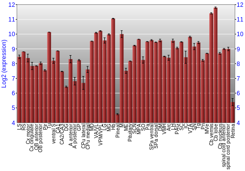 Expression graph