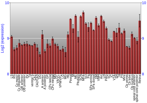 Expression graph