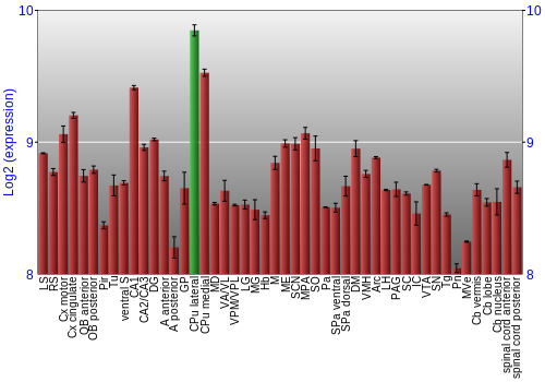 Multi-state expression graph