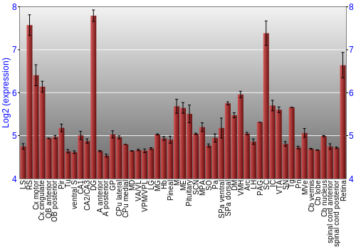 Expression graph