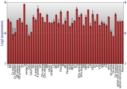 Expression graph