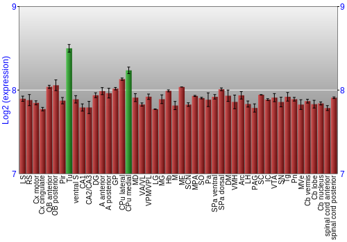 Multi-state expression graph