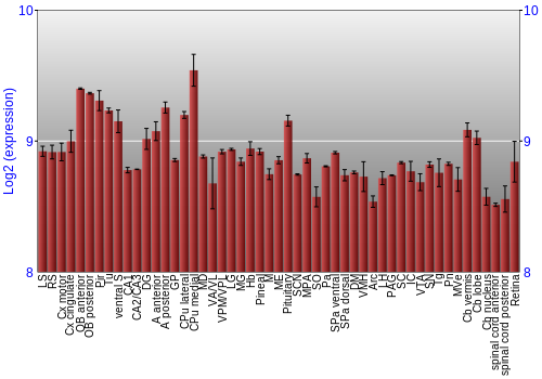 Expression graph