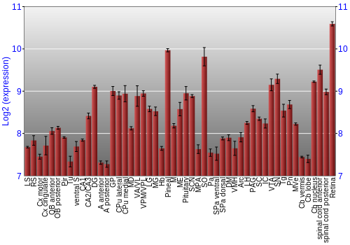 Expression graph