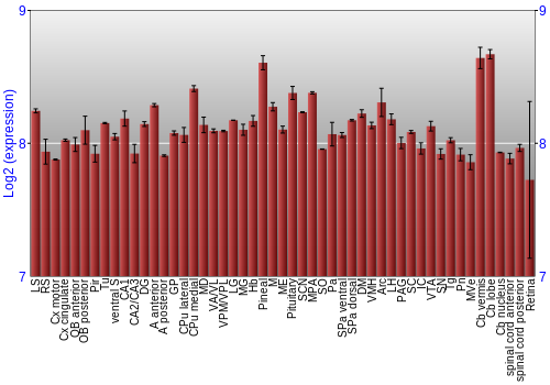 Expression graph